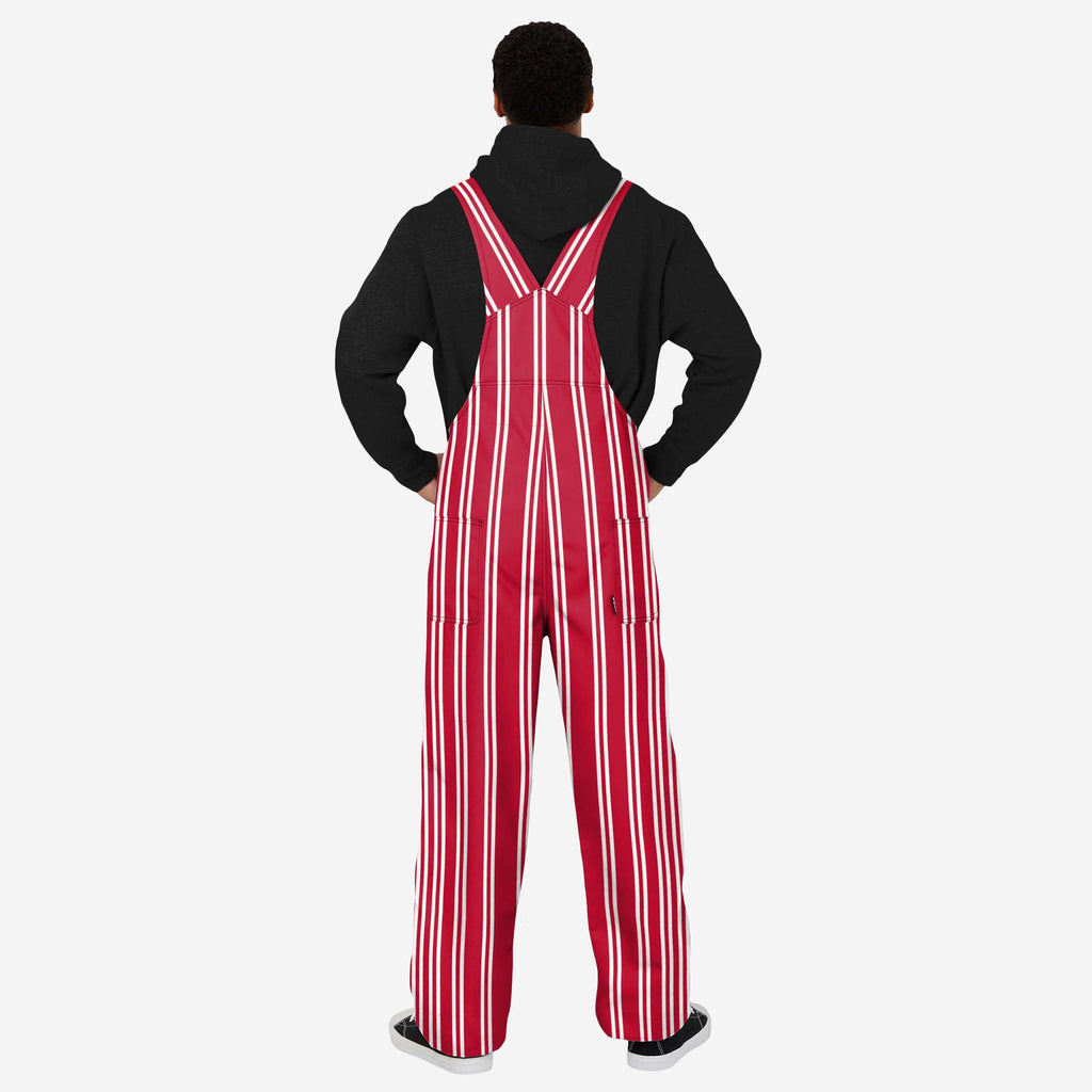 Wisconsin Badgers Mens Sideline Spirit Bib Overalls