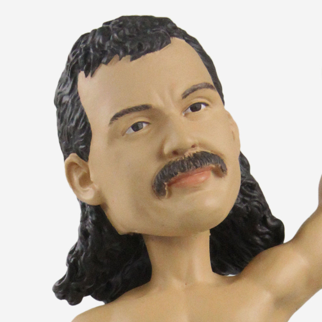 Jake The Snake Roberts WWE Bobblehead FOCO