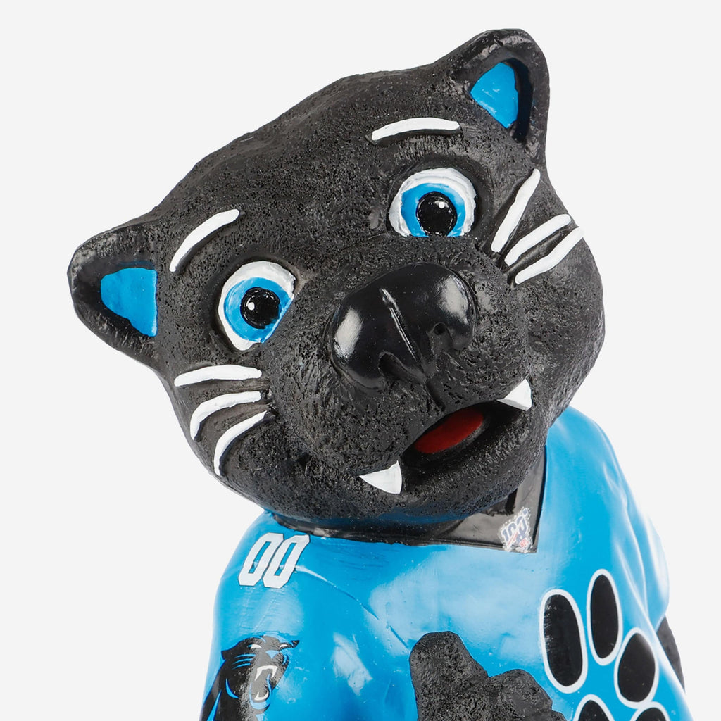 FOCO Carolina Panthers Water Bounce Ball – Offiziell Lizenziert, Aus PVC, Für Fans & Sammler