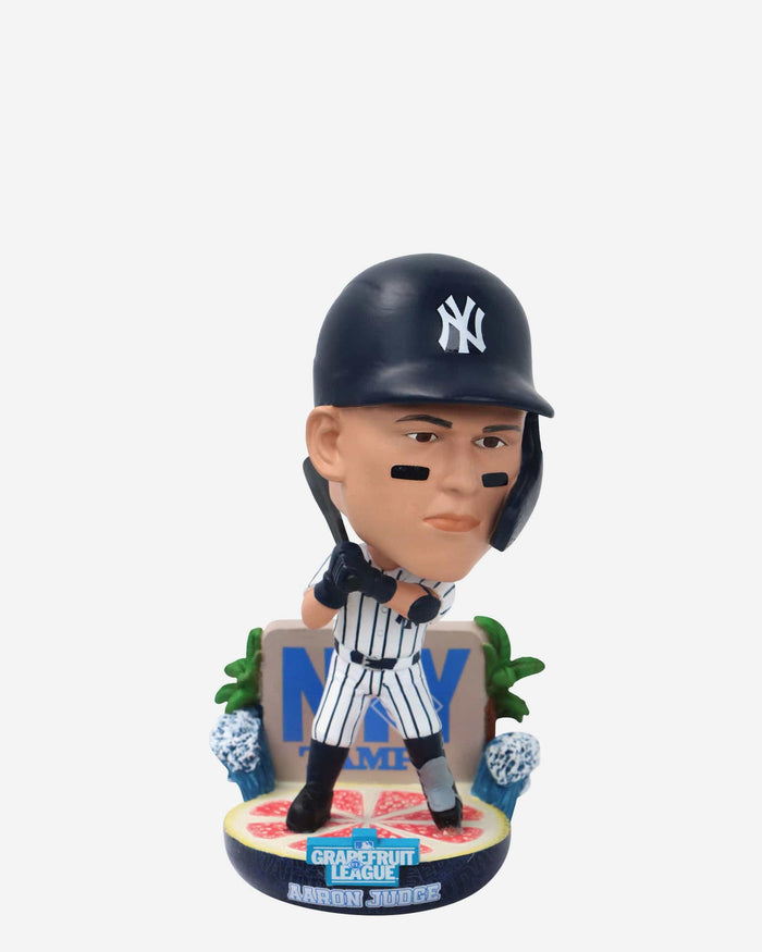 Aaron Judge New York Yankees 2025 Spring Training Grapefruit