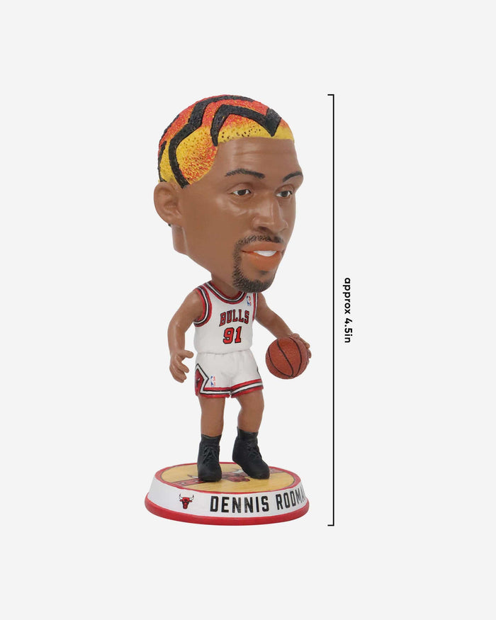 Dennis Rodman Chicago Bulls Court Stripe Mini Bighead Bobblehead FOCO - FOCO.com