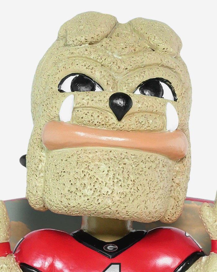 Hairy Dawg Georgia Bulldogs Greetings From Mascot Bobblehead FOCO - FOCO.com