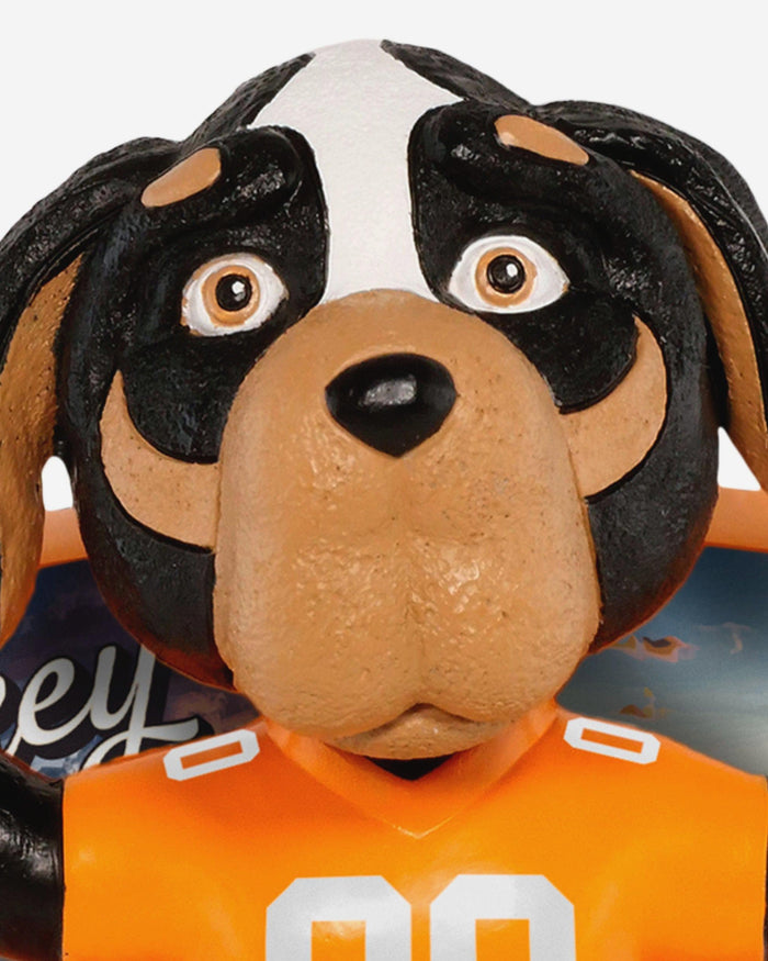 Smokey Tennessee Volunteers Greetings From Mascot Bobblehead FOCO - FOCO.com
