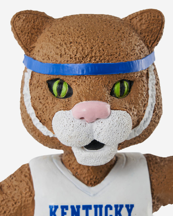 Scratch Kentucky Wildcats Mascot Bank Bobblehead FOCO - FOCO.com