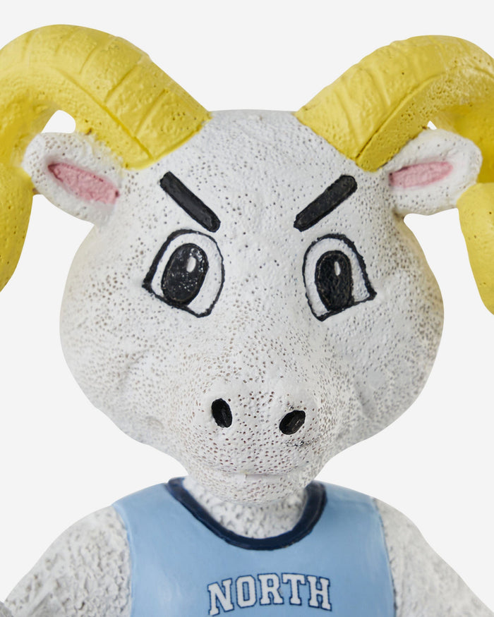 Rameses North Carolina Tar Heels Mascot Bank Bobblehead FOCO - FOCO.com