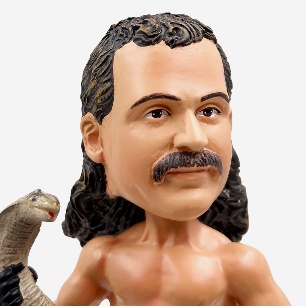Jake the Snake Roberts WWE 6 in Bobblehead FOCO