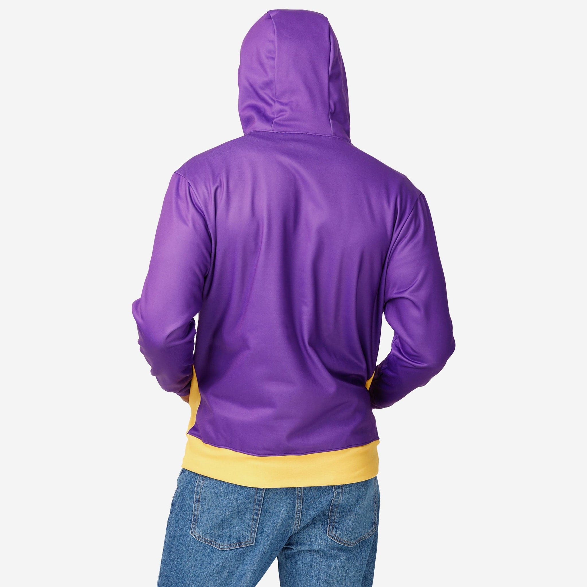 Minnesota Vikings Bold Logo Hoodie FOCO
