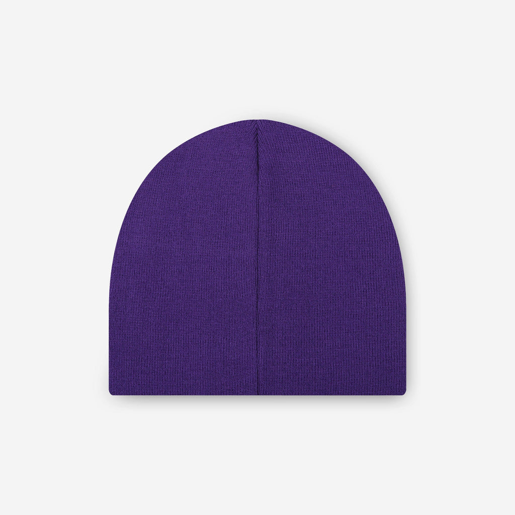 Baltimore Ravens Basic Primary Logo Skull Beanie FOCO