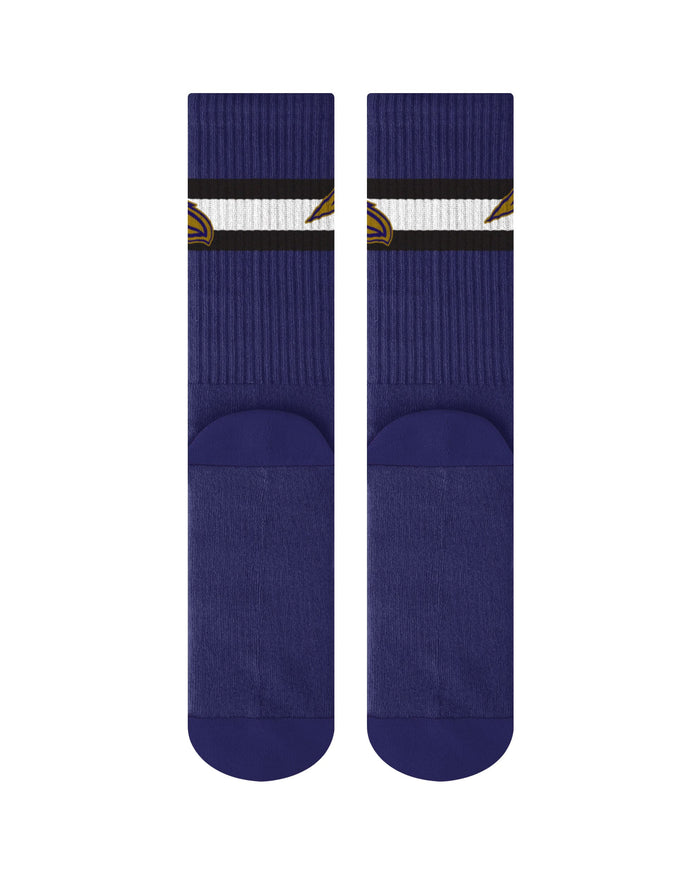 Baltimore Ravens Team Color Socks