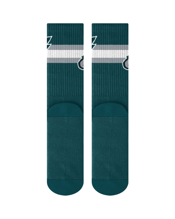 Philadelphia Eagles Team Color Socks