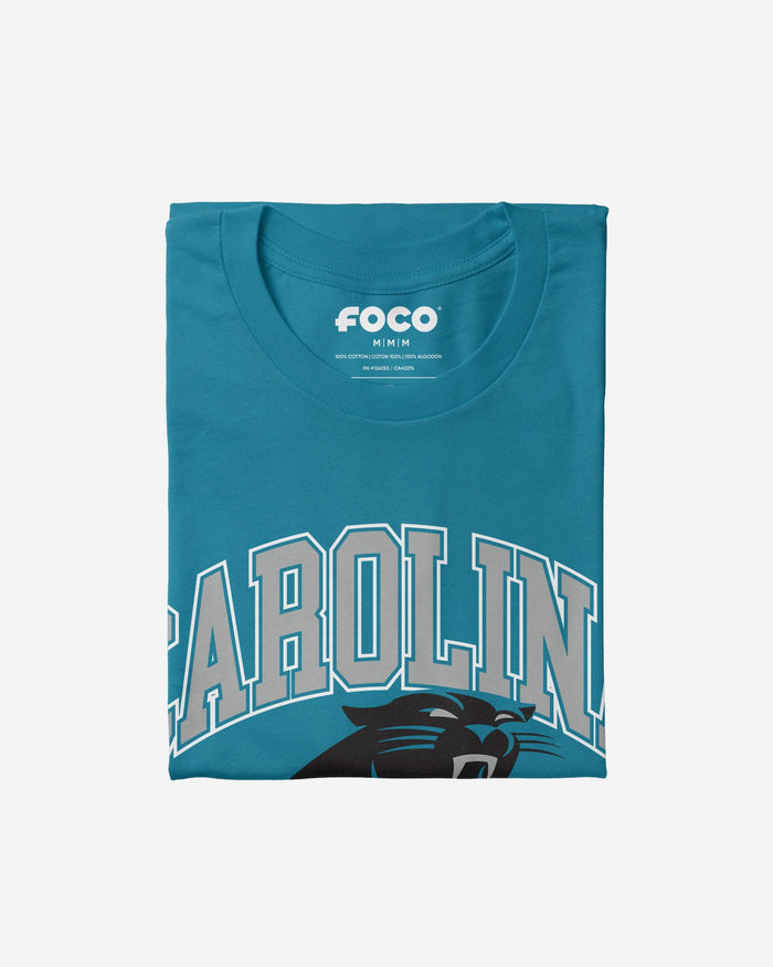 Carolina Panthers Arched Wordmark T-Shirt FOCO - FOCO.com
