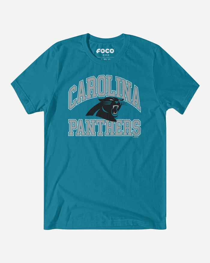 Carolina Panthers Arched Wordmark T-Shirt FOCO S - FOCO.com