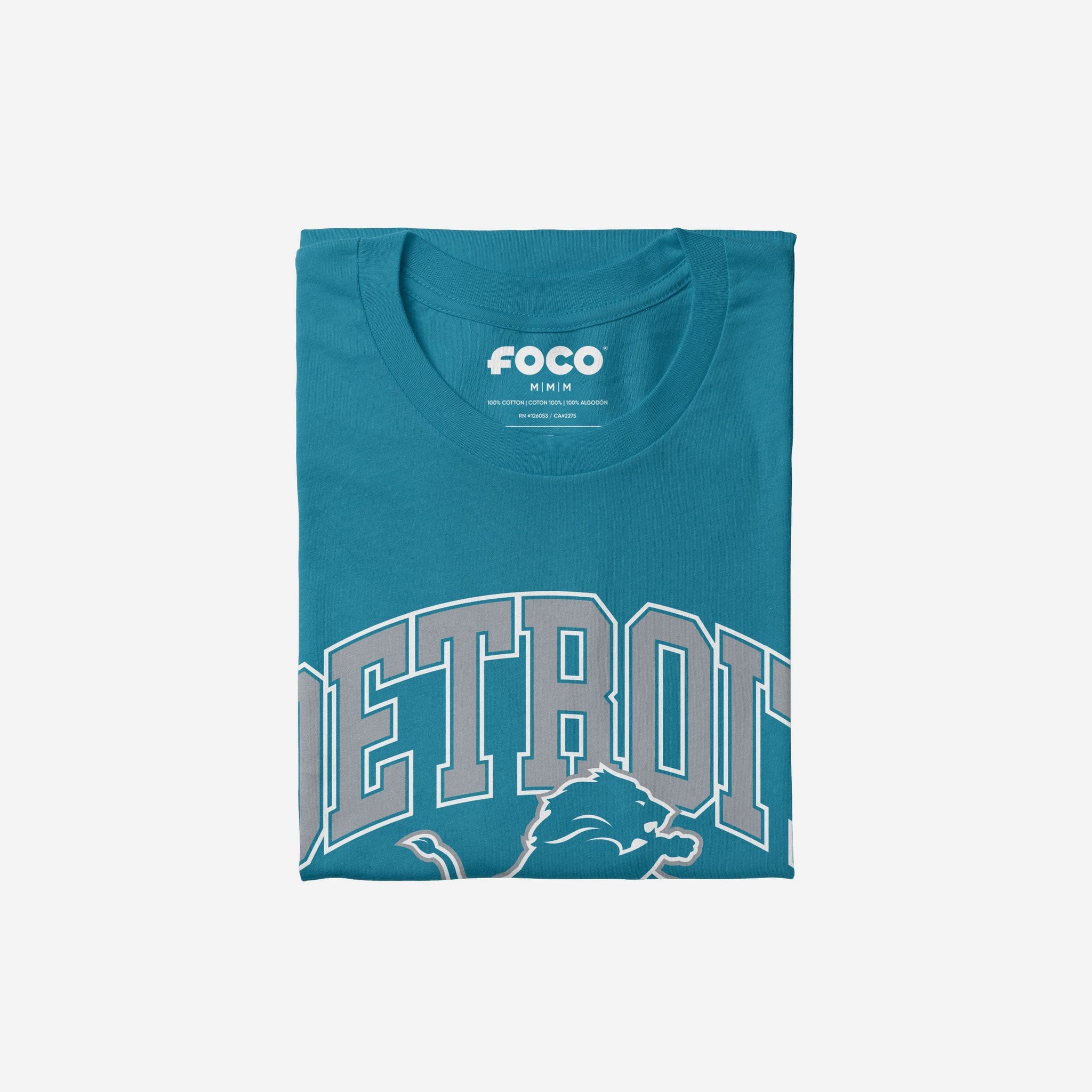 Detroit Lions Arched Wordmark T-Shirt FOCO