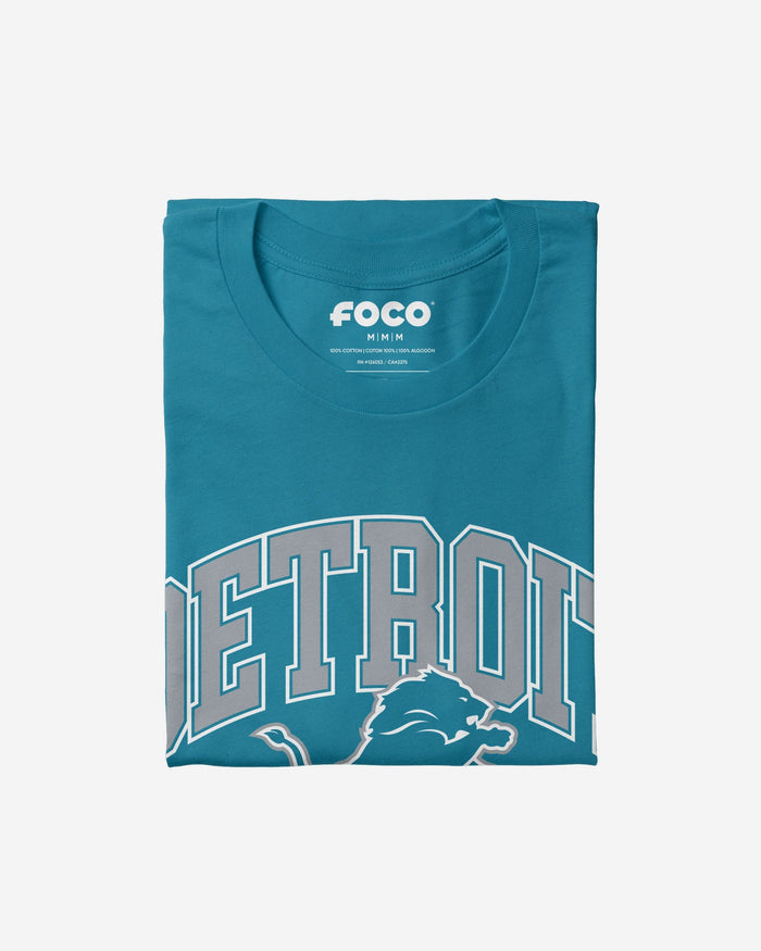 Detroit Lions Arched Wordmark T-Shirt FOCO - FOCO.com