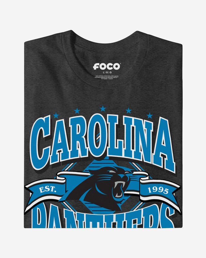 Carolina Panthers Established Banner T-Shirt FOCO - FOCO.com
