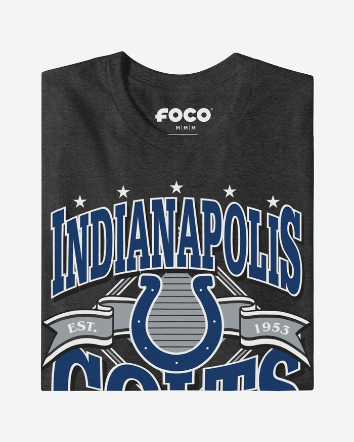 Indianapolis Colts Established Banner T-Shirt FOCO - FOCO.com