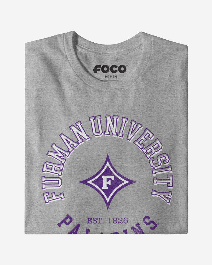 Furman Paladins Circle Vintage T-Shirt FOCO - FOCO.com