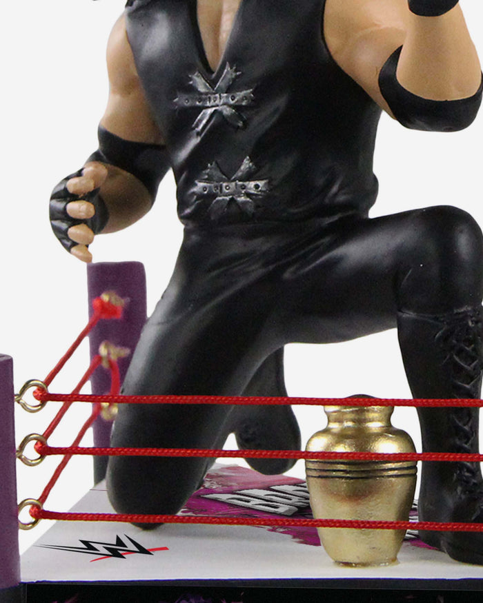 Undertaker Brothers of Destruction WWE Dynamic Duo Bobblehead FOCO - FOCO.com