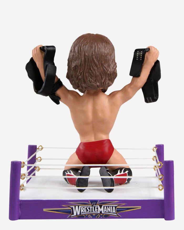 Daniel Bryan WWE Wrestlemania Moment Bobblehead FOCO - FOCO.com