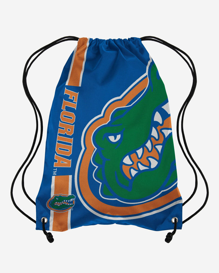 Florida Gators Big Logo Drawstring Backpack FOCO - FOCO.com