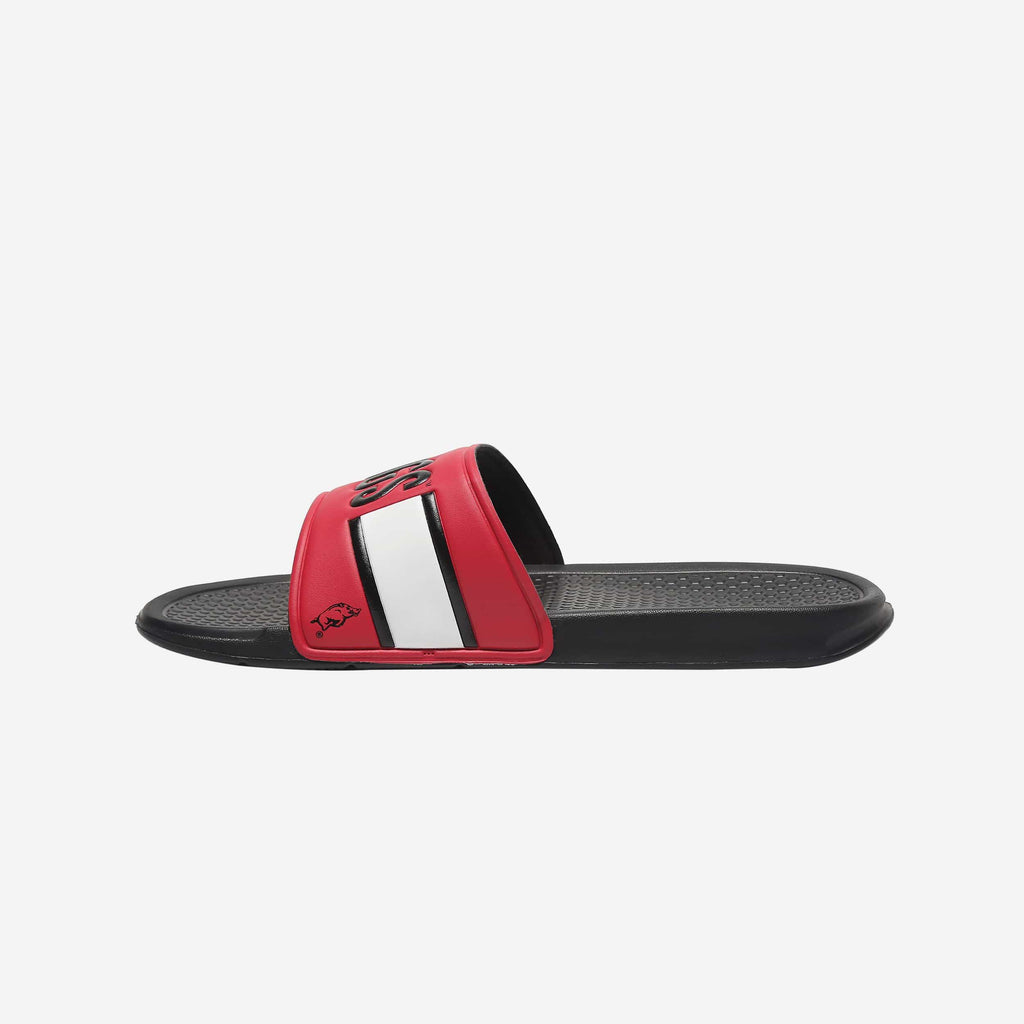 Arkansas Razorbacks Raised Wordmark Slide FOCO