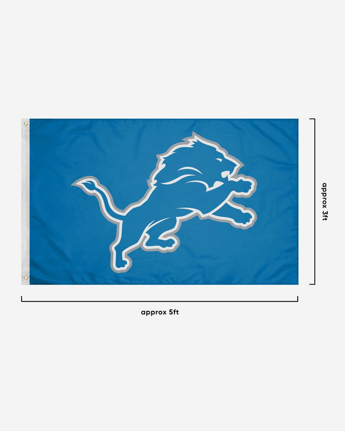 Detroit Lions Solid Horizontal Flag FOCO - FOCO.com