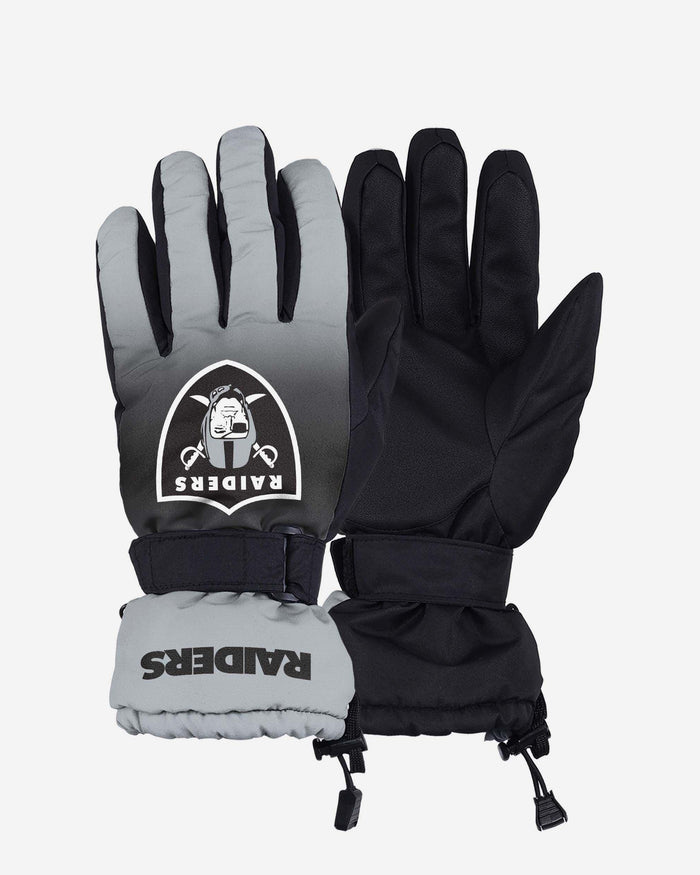 lv raiders gloves