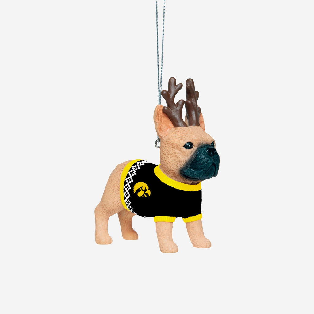 Iowa Hawkeyes French Bulldog Wearing Sweater Ornament FOCO - FOCO.com