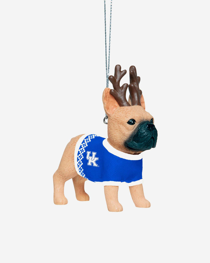 Kentucky Wildcats French Bulldog Wearing Sweater Ornament FOCO - FOCO.com