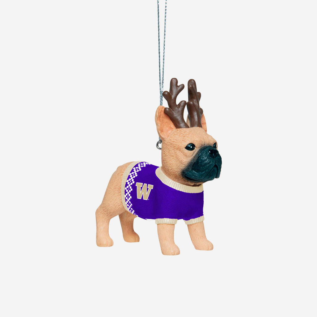 Washington Huskies French Bulldog Wearing Sweater Ornament FOCO - FOCO.com