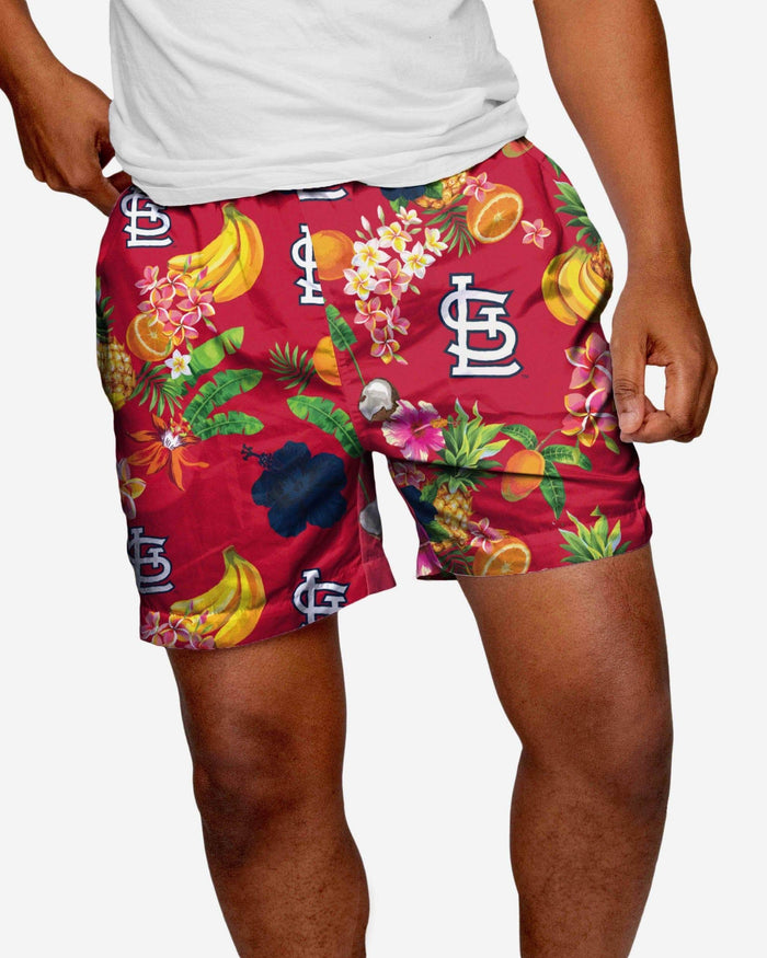 St Louis Cardinals Fruit Life 5.5