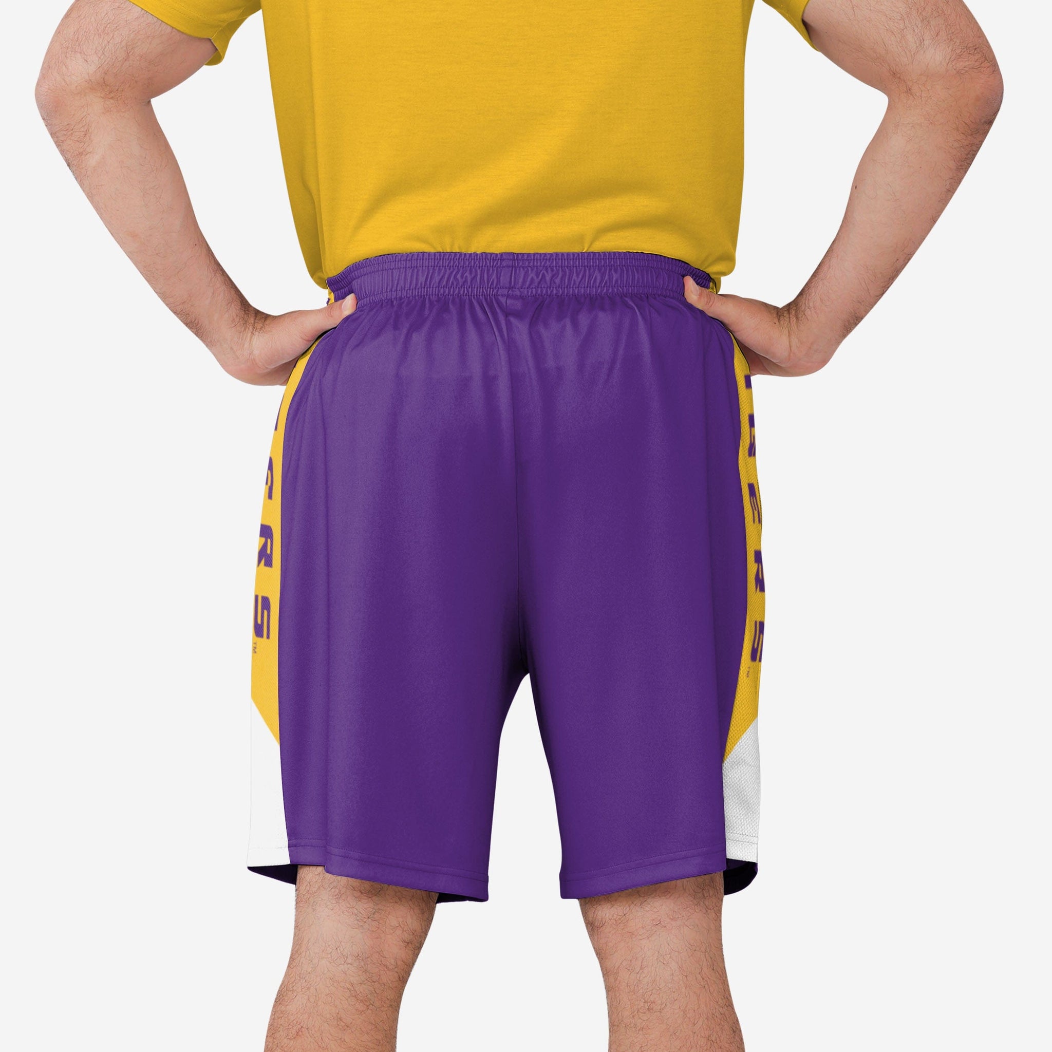  MITCHELL & NESS NBA Big FACE Fashion Shorts 5.0 Toronto Raptors  (M) Purple/Red : Sports & Outdoors