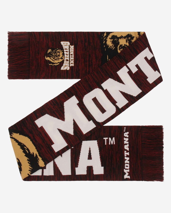 Montana Grizzlies Wordmark Big Logo Colorblend Scarf FOCO - FOCO.com
