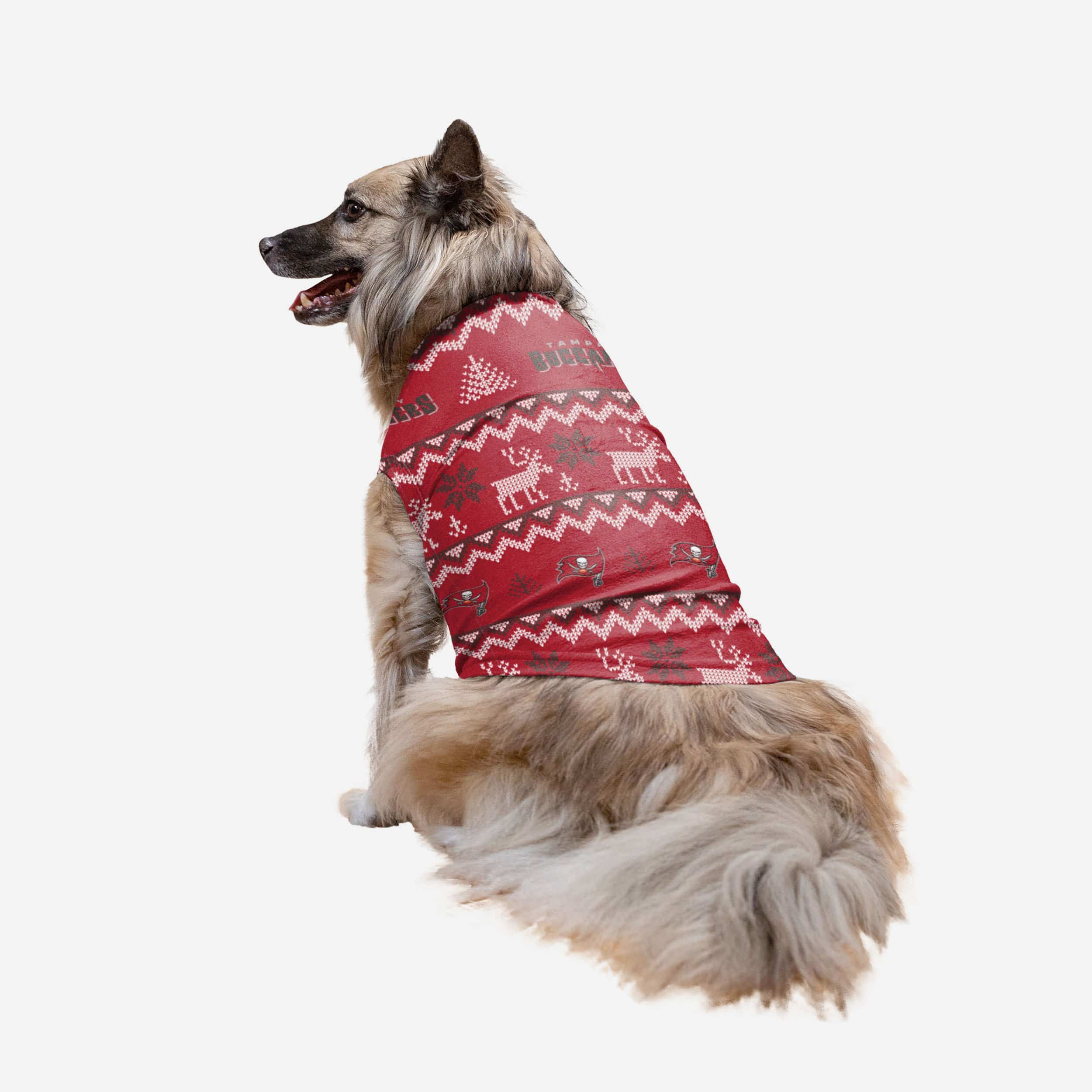 Tampa Bay Buccaneers Dog Family Holiday Ugly Sweater, Size: S